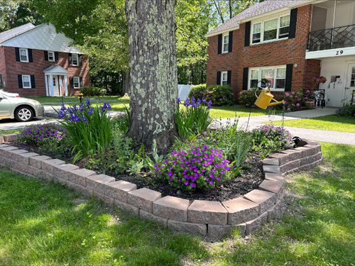 image of a flower bed in front of some housing buildings
